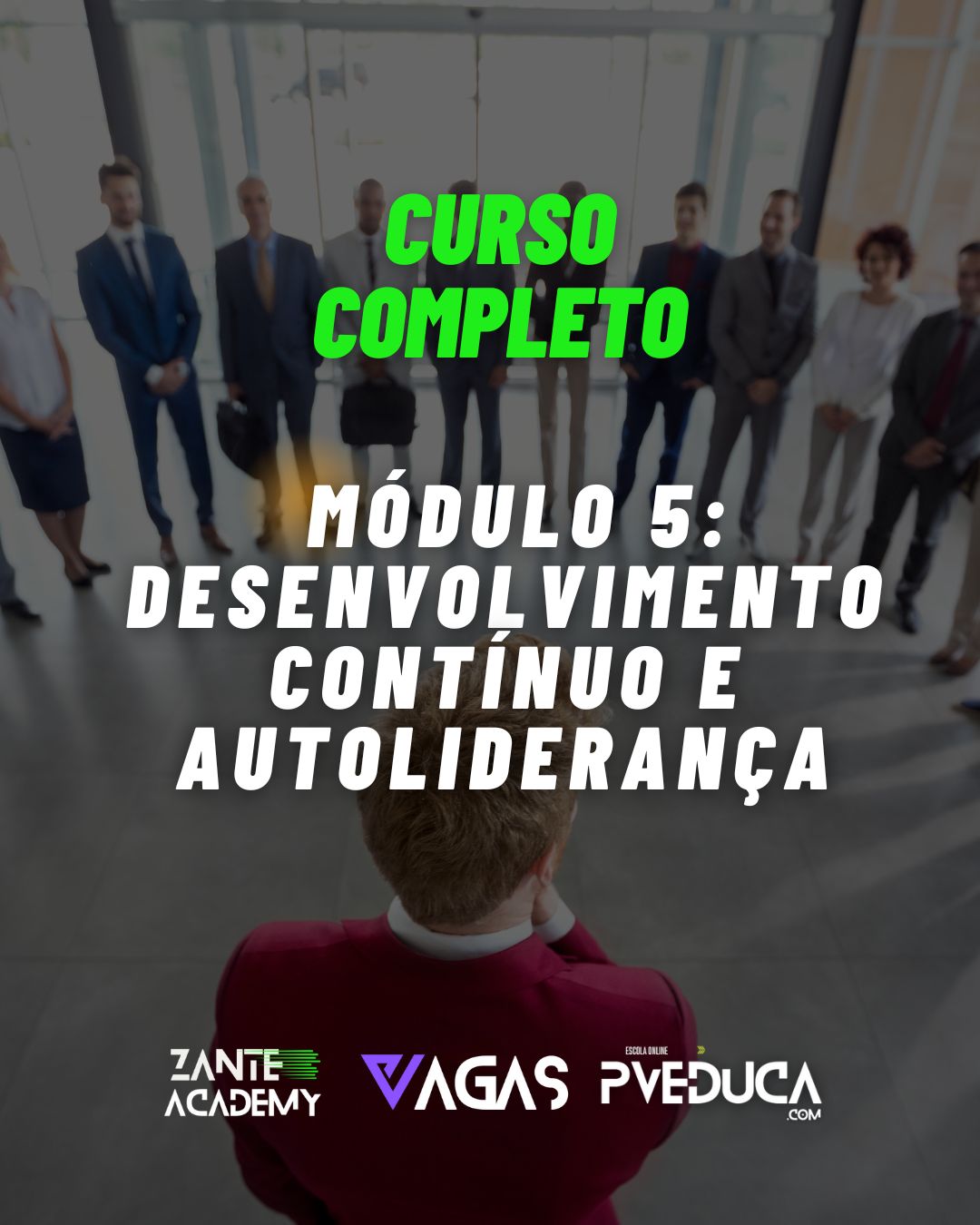 Power Bi Profissional (5)