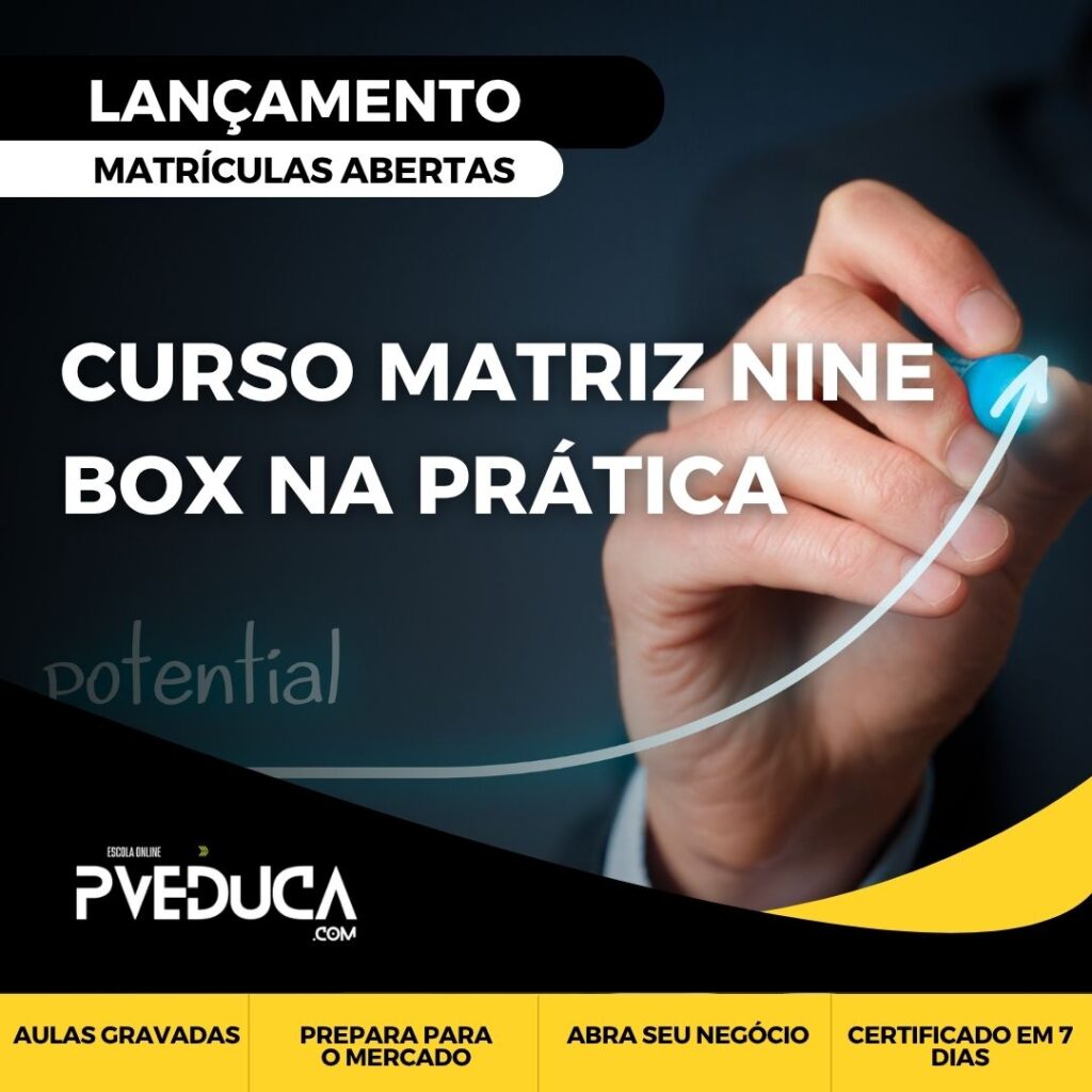 Curso Matriz Nine Box na Prática